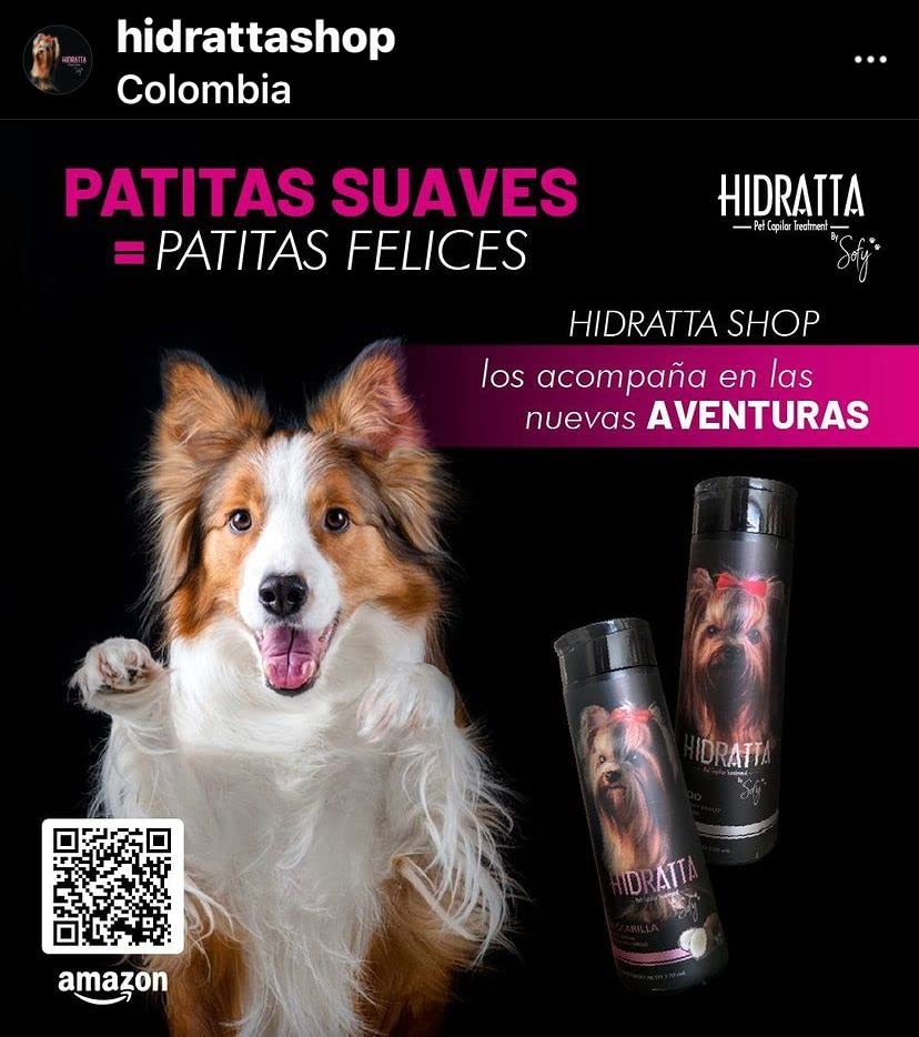💧 Kit Hidratante Hidratta – Máxima nutrición para un pelaje suave y brillante