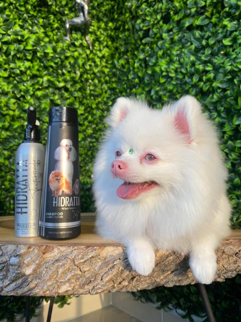 🚀 Shampoo Volumen Hidratta – Cuerpo y textura para un pelaje espectacular