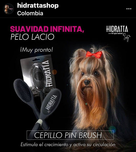 Cepillo mantequilla