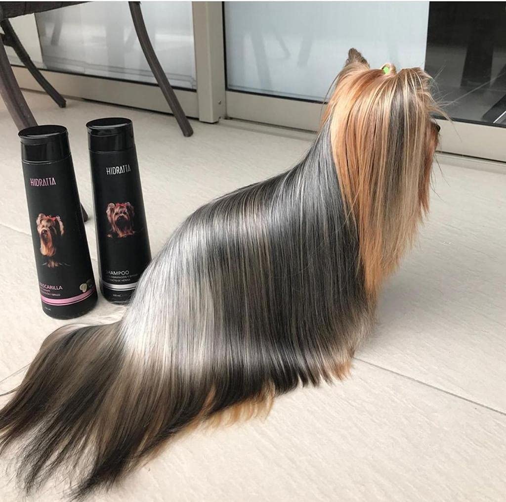 Shampoo Hidratante Hidratta 370ml – Nutrición y brillo para un pelaje perfecto