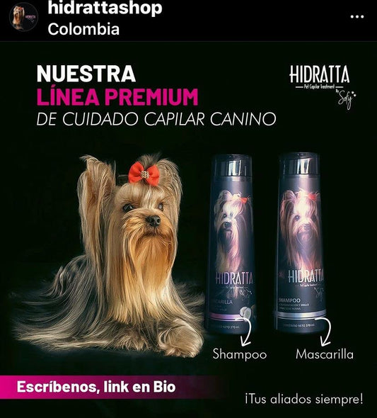 💧 Kit Hidratante Hidratta – Máxima nutrición para un pelaje suave y brillante